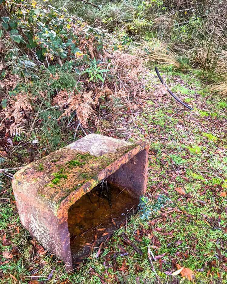 Old trough in the bush