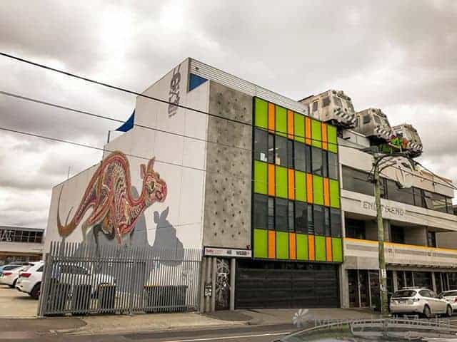 Trams, offices and a bisected kangaroo