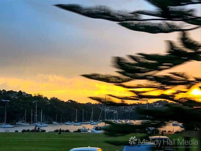 Sunset through the trees