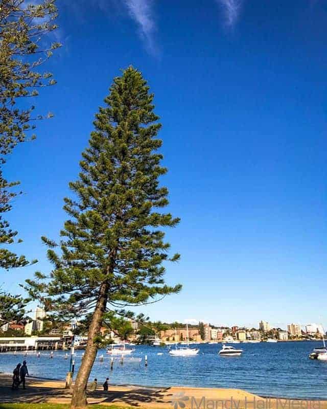Sunny afternoon in Manly