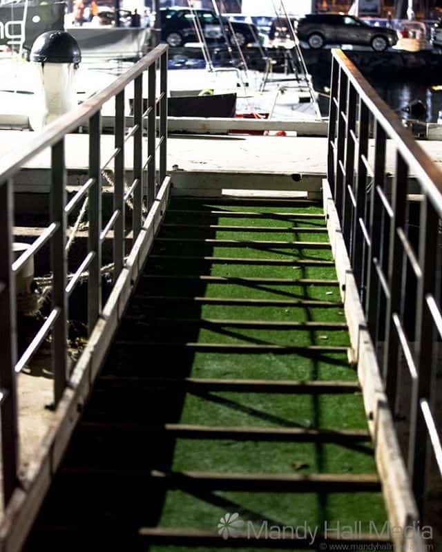 Geelong foreshore at night