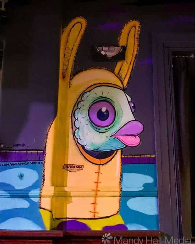 Fish bunny
