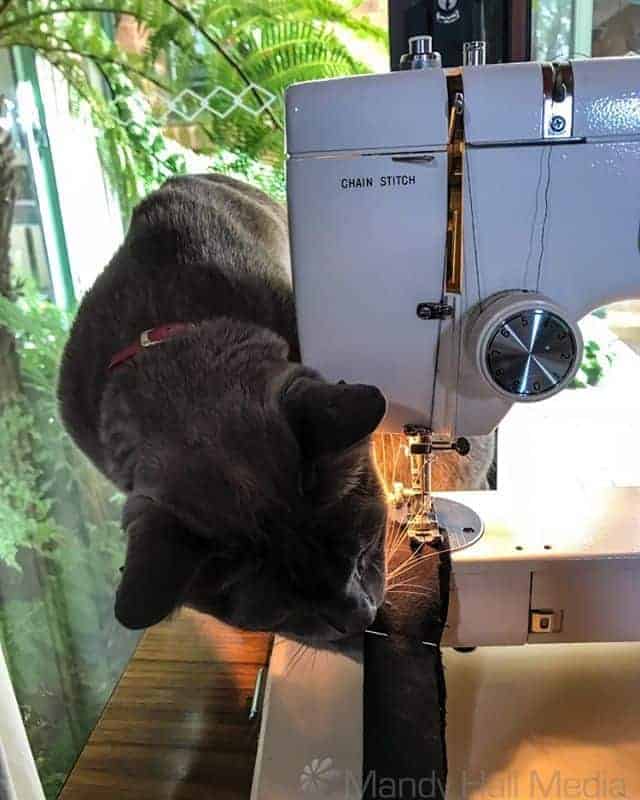 Bod loves pins.