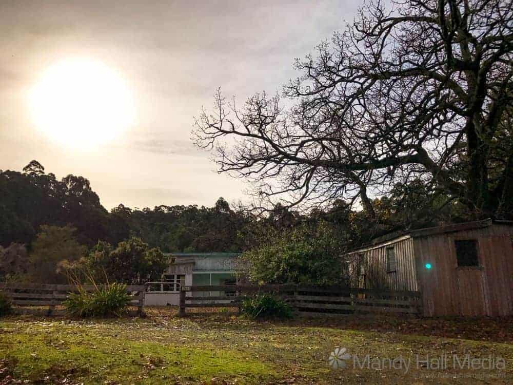 Another pic taken near Port Arthur with a ghost orb. Not far from where I took the previous photo. Once again, nothing on my phone or the shed to make the blue reflection appear.