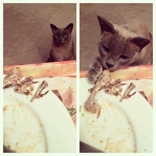 Nearly lost my dinner