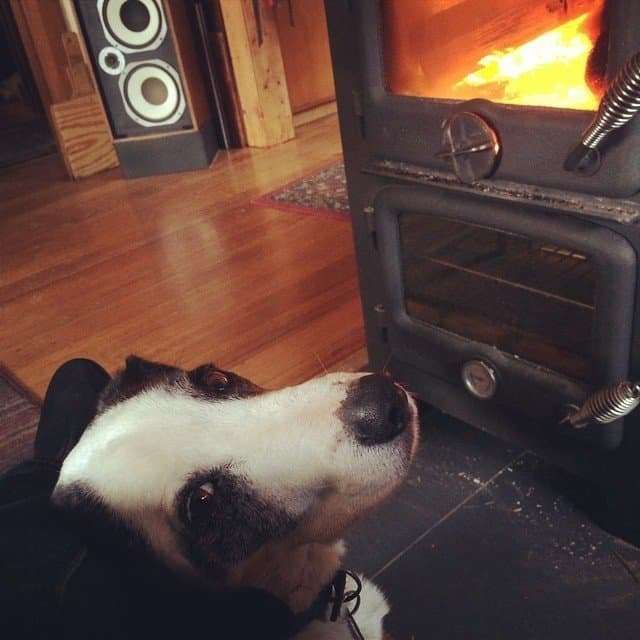 The best way to spend a cold morning in Tassie. With a fire and a snuggly dog.