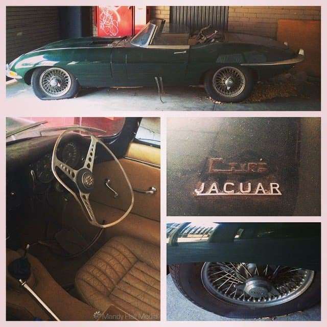 Old jaguar