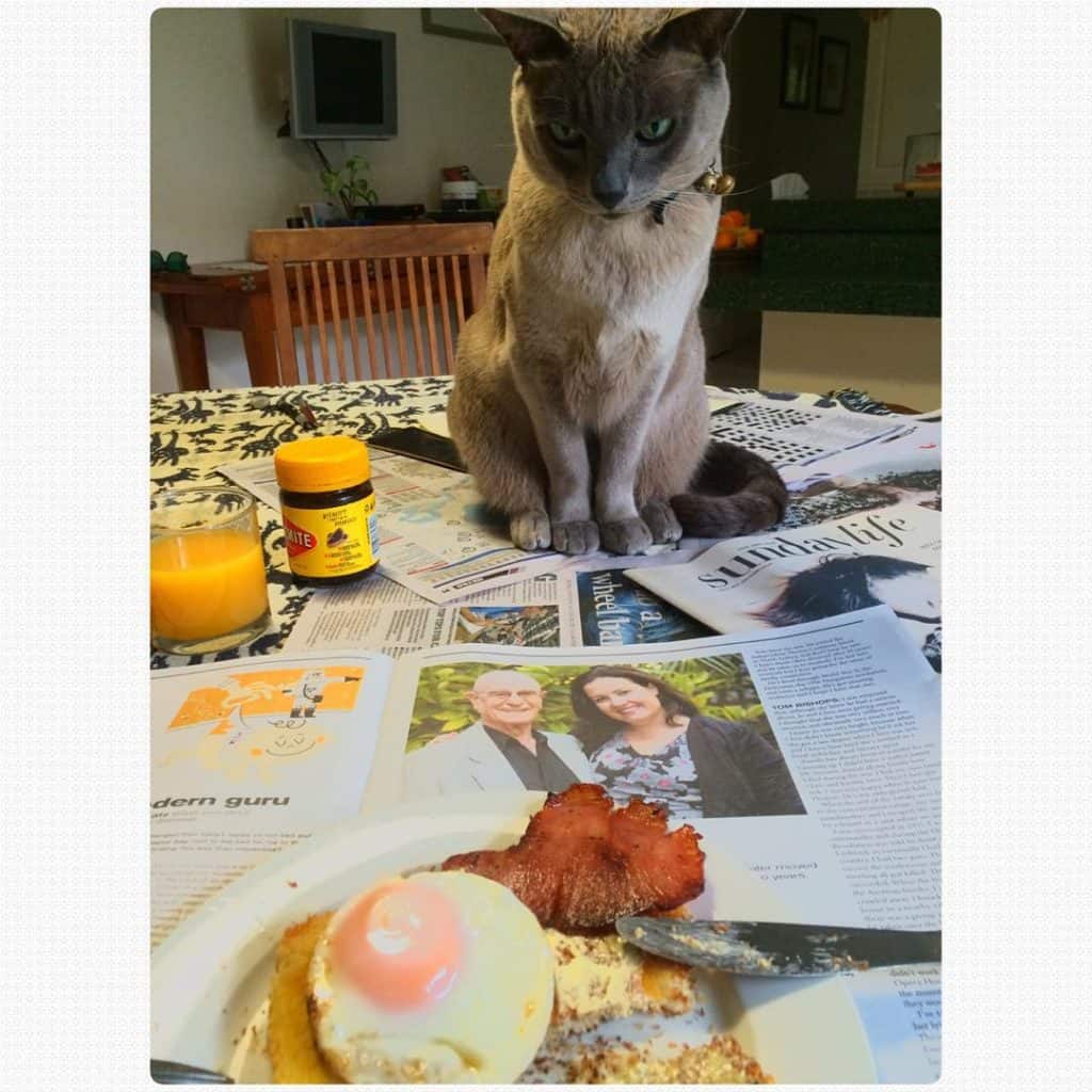 Someone wants my breakfast Someone wants my breakfast