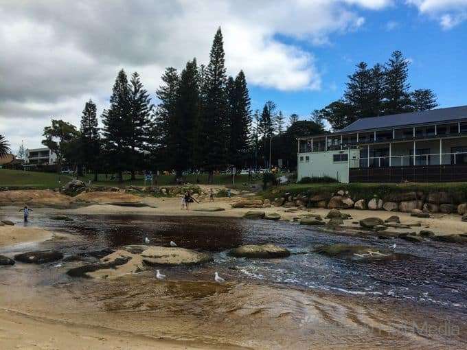 Surf club at Southwest Rocks
