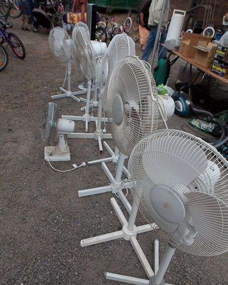 Fans at the market