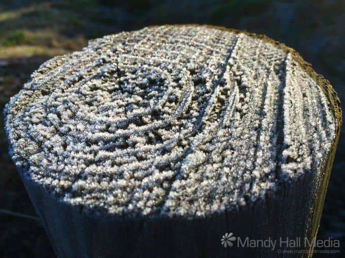 Ice crystals on a post