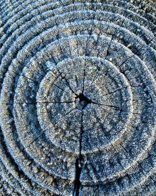 Ice crystals on a post