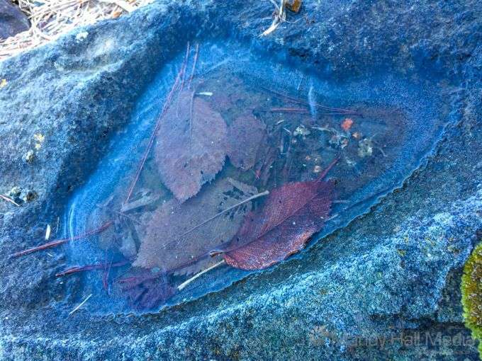 Frozen puddle