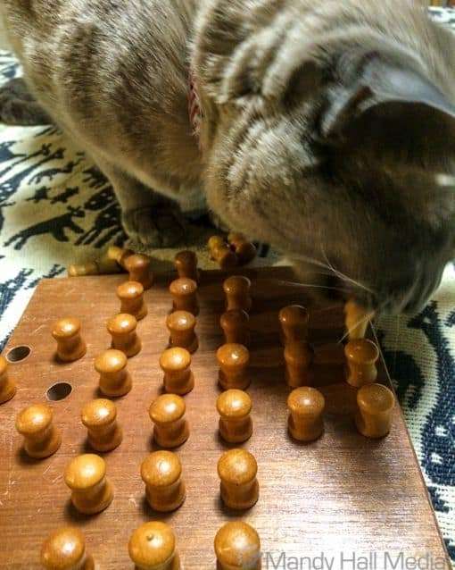 Bod’s getting the hang of solitaire
