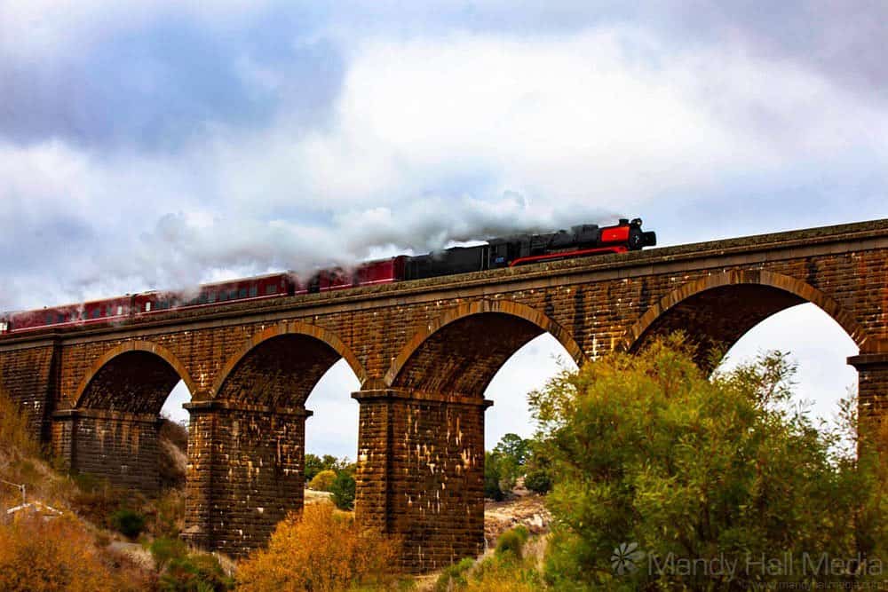 Steam Train Over Malmsbury Viaduct