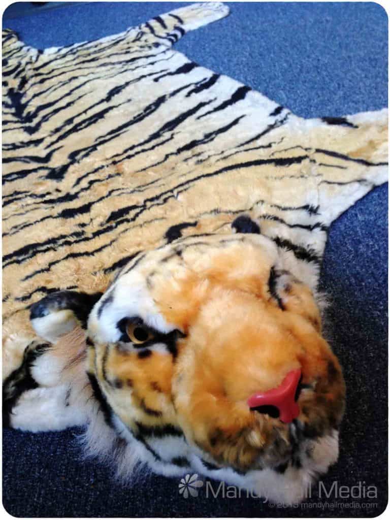 My tiger skin rug. He’s called Rajah. Everyone trips over him.