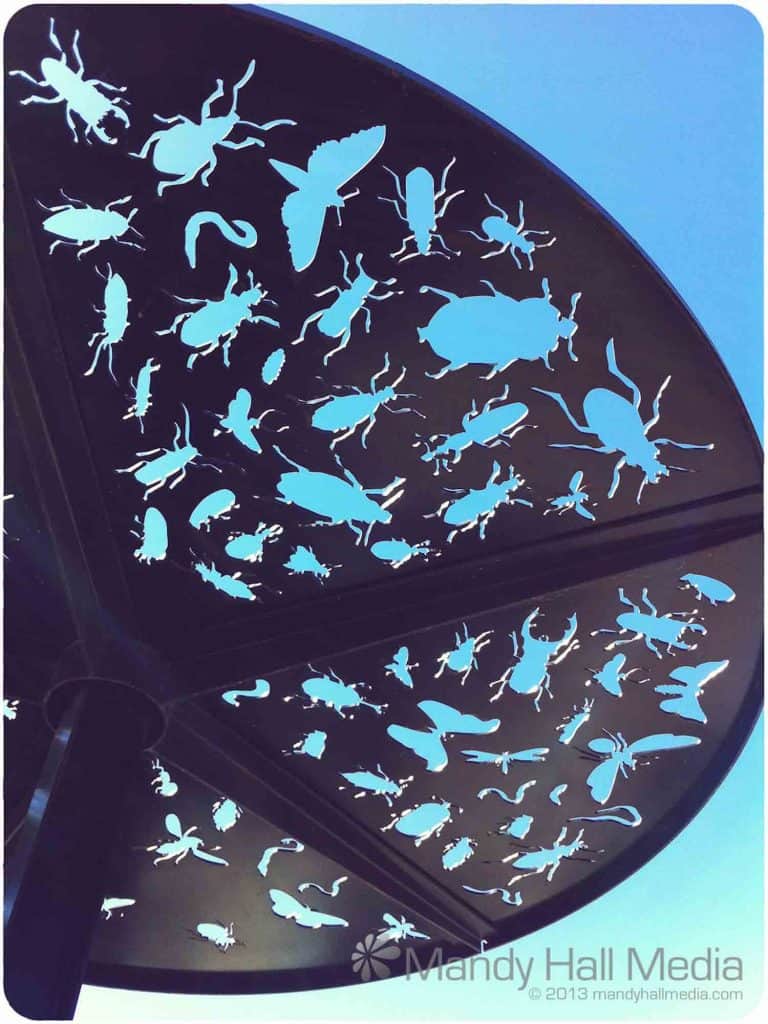 Sun shade in Water Wise garden in Canberra