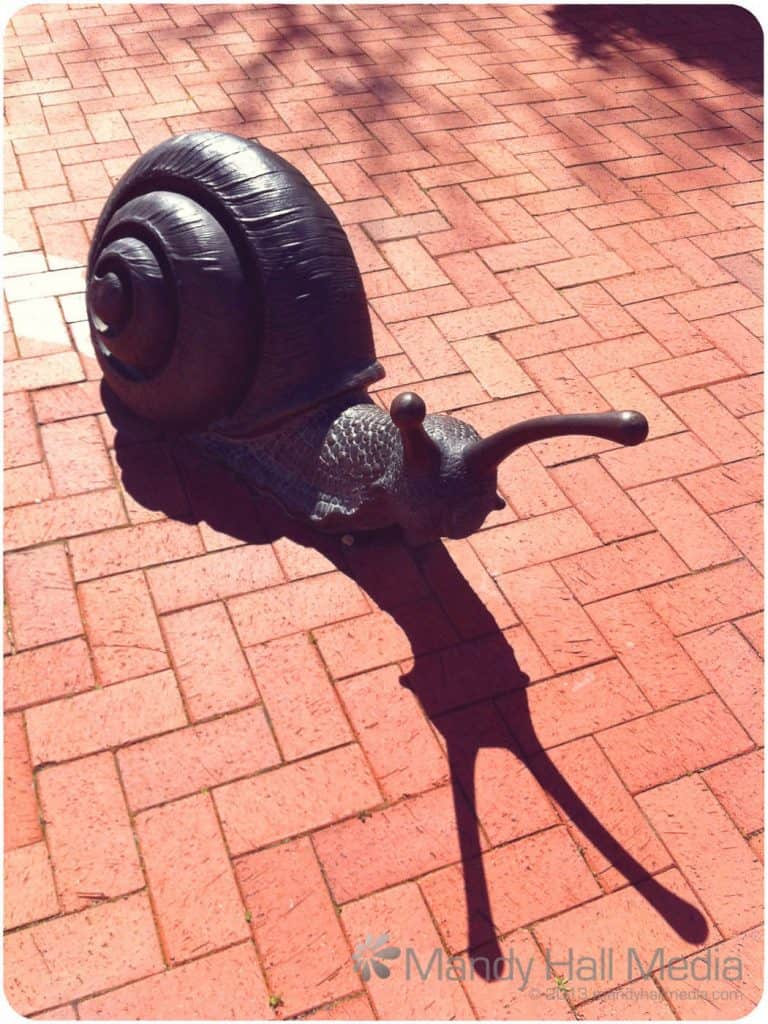 Snail sculpture in Canberra. They have even painted the trail beind them on the bricks. They’re big enough to ride on