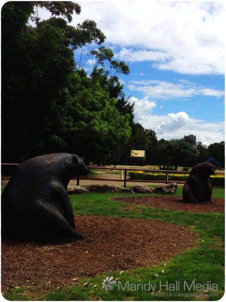 Banks Park, Sydney. Bears