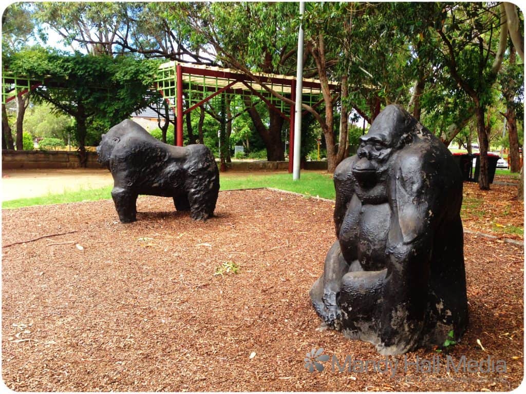 Banks Park, Sydney. Gorillas