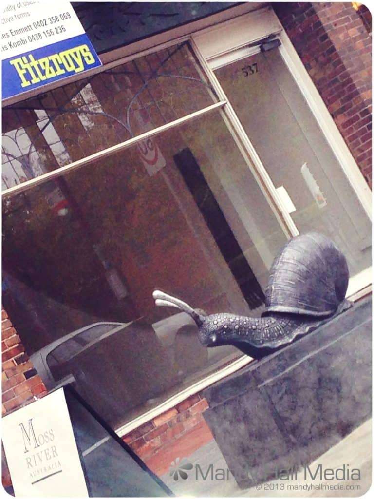 The Canberra snails have made it to Melbourne. Toorak road