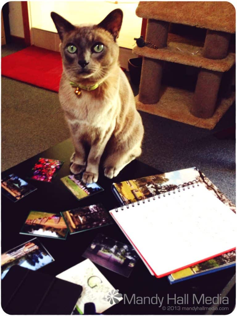 I’m helping!