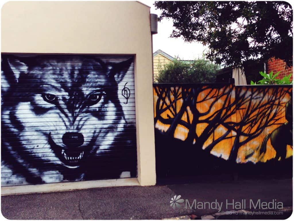 Wolf and fence, excellent.