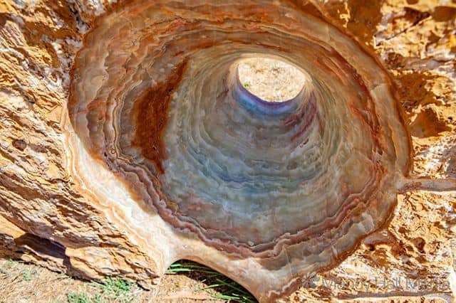 Mark Stoner ‘ Onyx 1 & 2 ‘ at Art in the Vines at Hanging Rock Winery⠀