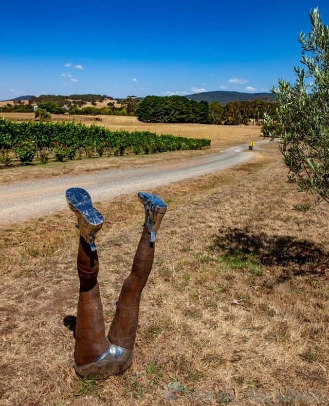 Nicole Allen ‘ In Too Deep ‘ at Art in the Vines at Hanging Rock Winery⠀