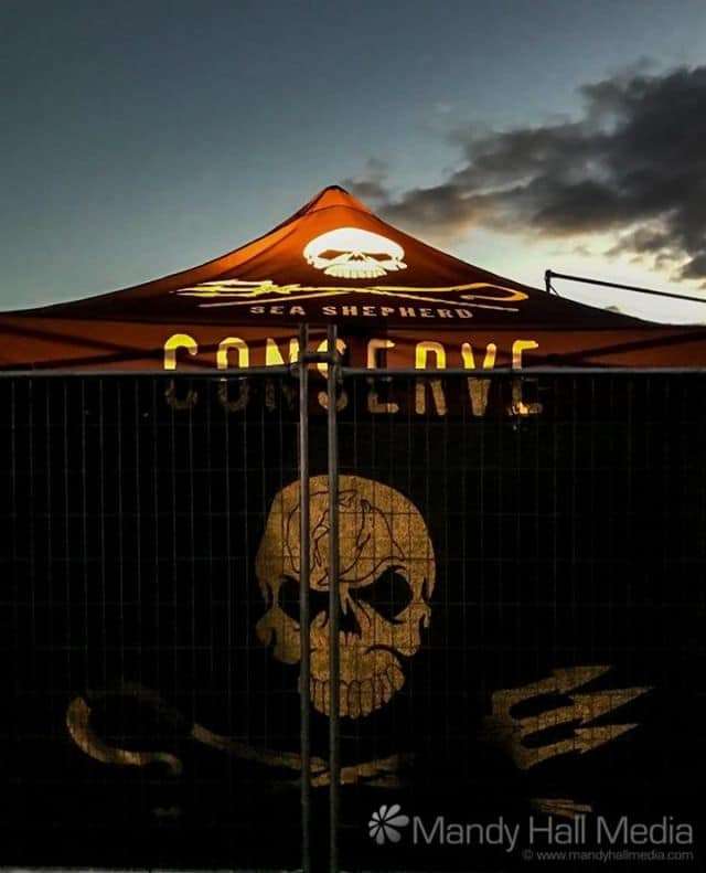 Sea Shepherd in the sunset⠀