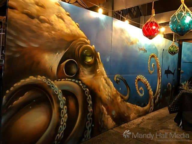 Octopus looking for a fight