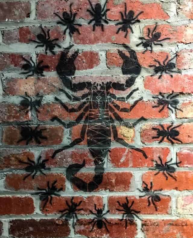 Ants and scorpion⁠ ⁠