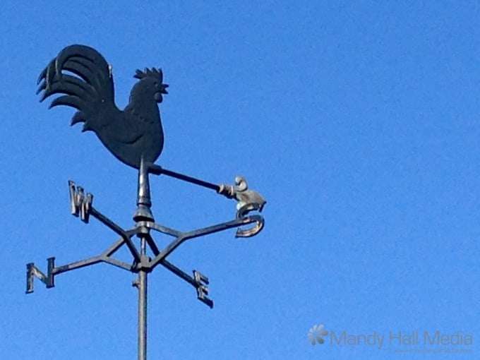 Weather vane