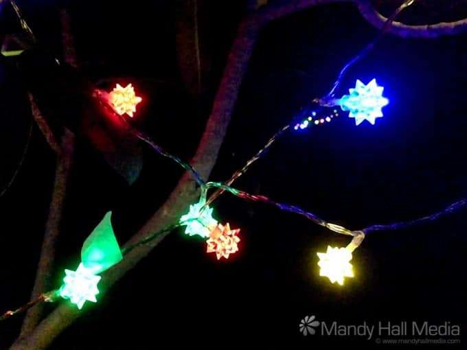 Christmas lights in the trees