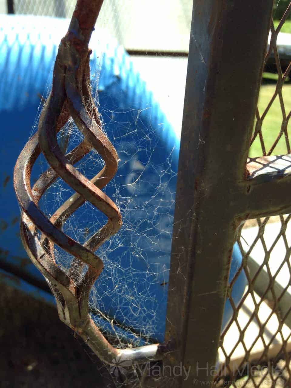 Spider web on an old fireplace surround