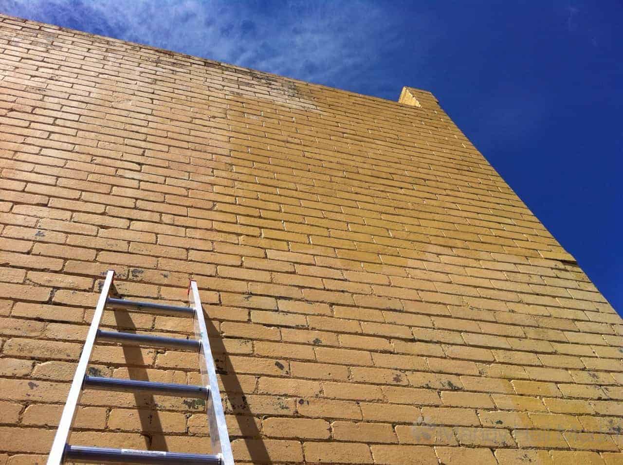 A lovely day for painting a wall