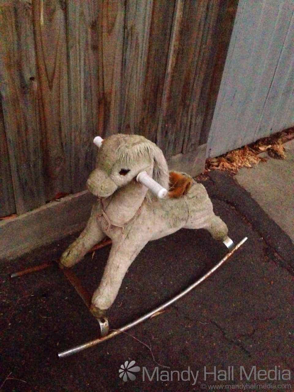 Abandoned ride on horsie. Hope it finds a home.