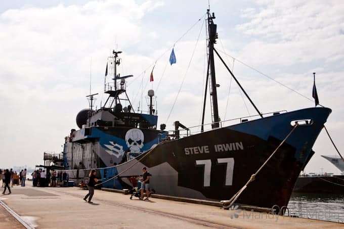 The Steve Irwin. The Sea Shepherd’s most famous vessel.