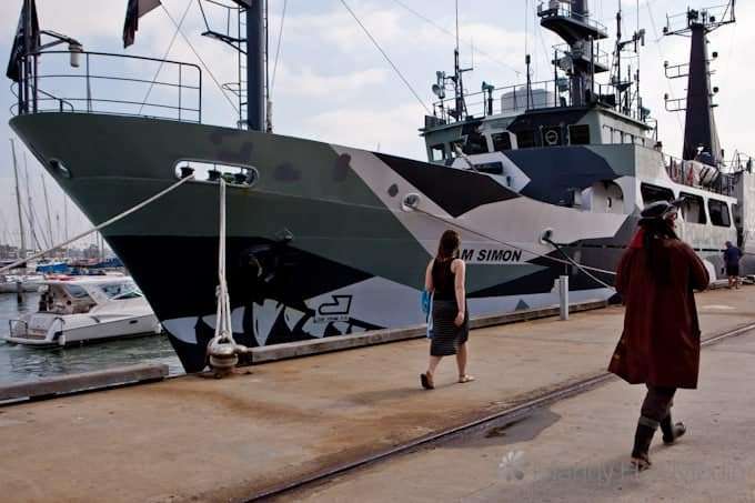 The Sam Simon. Another of the Sea Shepherd’s ships.
