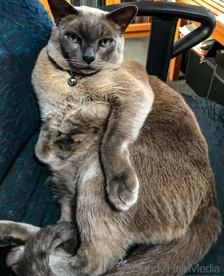 What?