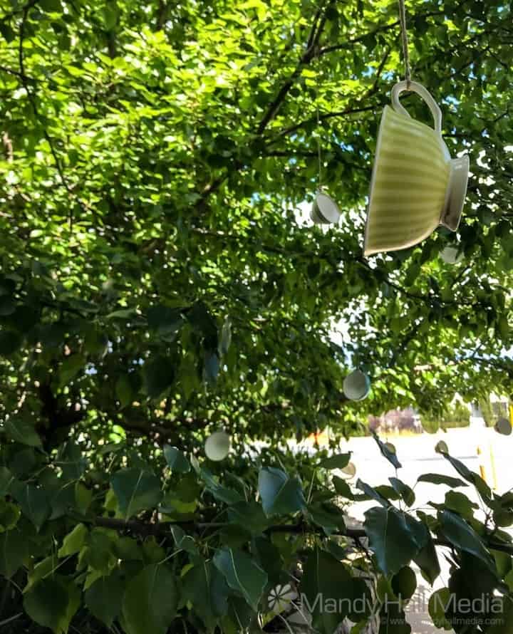 Teacups in a tree outside a tea shop