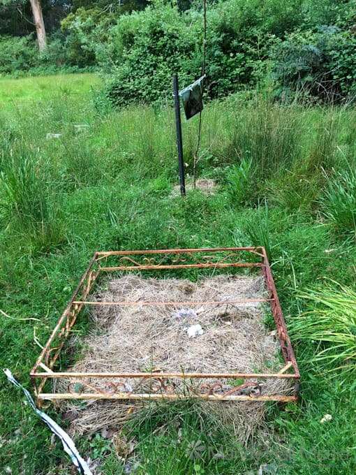 Horse Grave