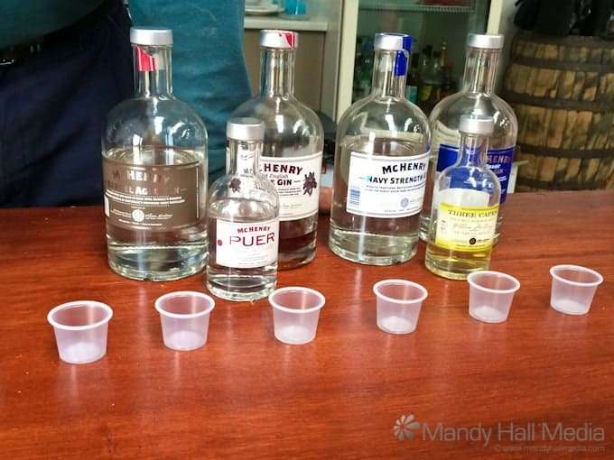Gin and whiskey tasting