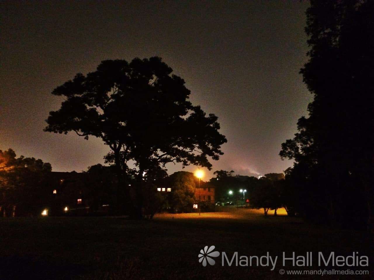 Evening in the park