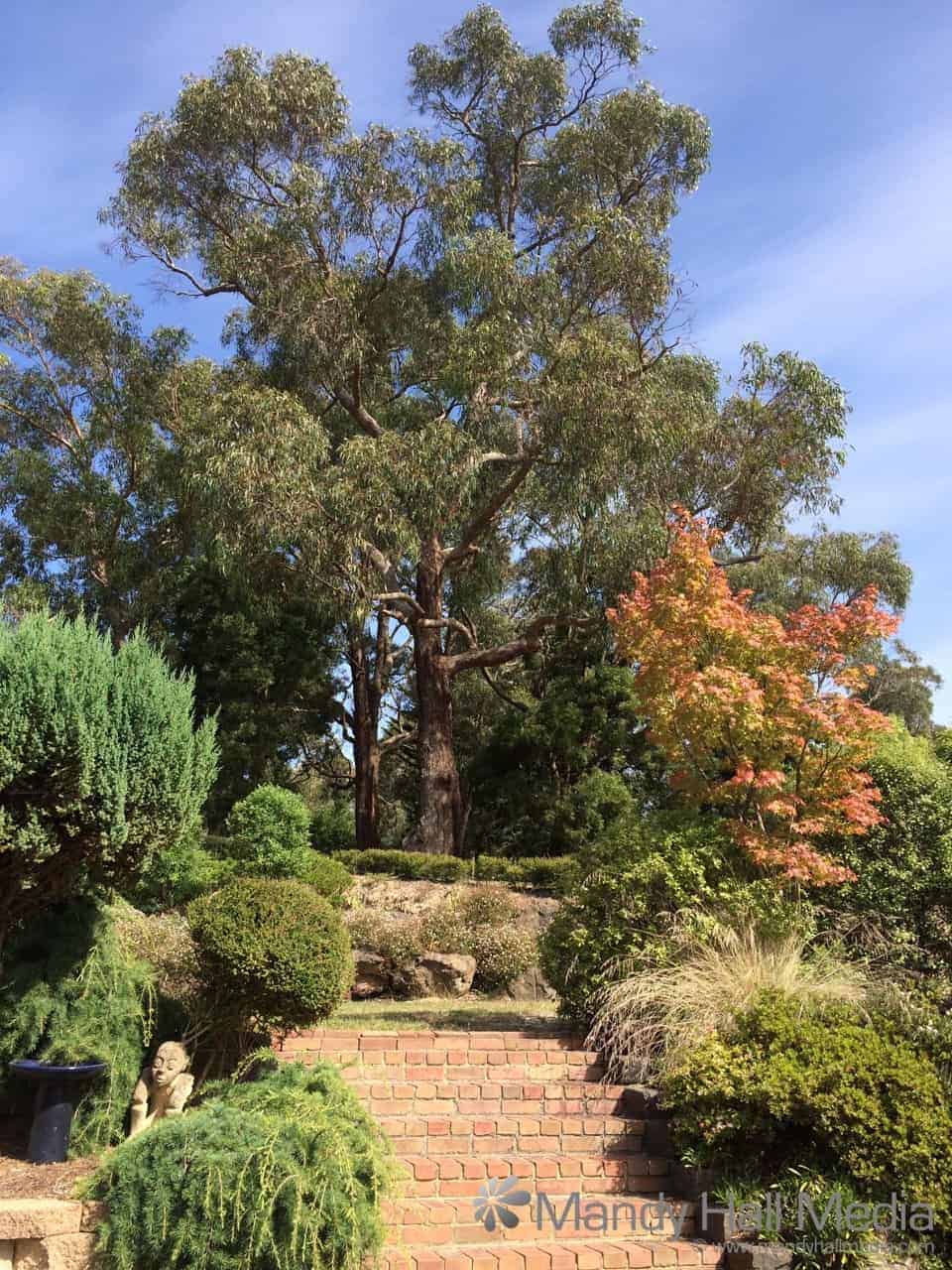A lovely day in the garden
