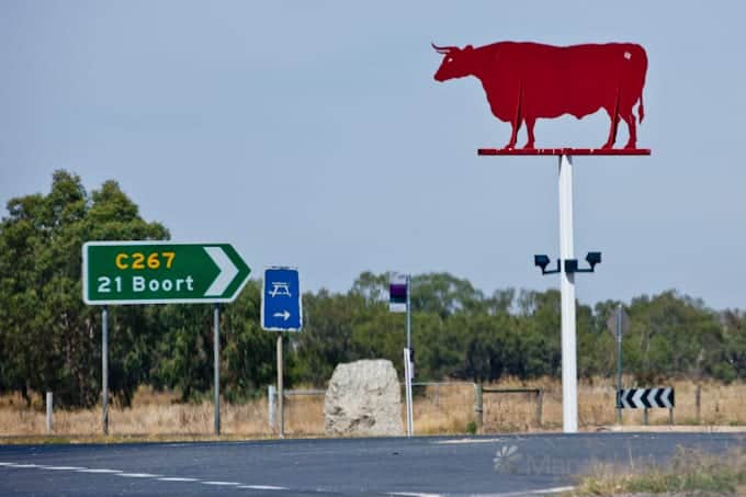 Ox sign at Durham Ox outside Bendigo