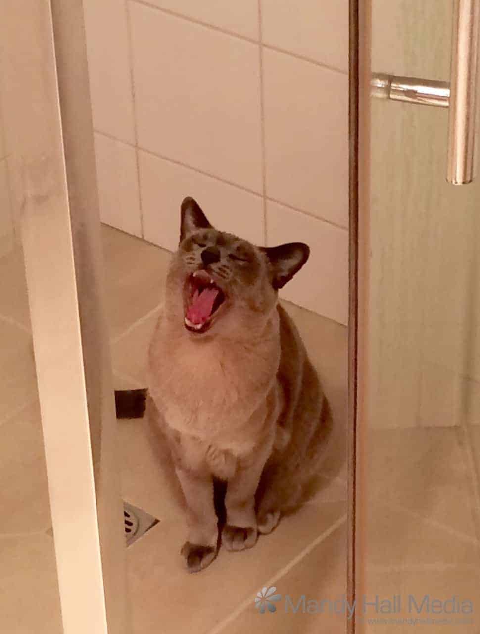 Singing in the shower