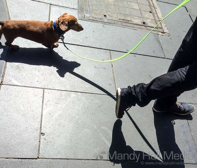 Short shadow for short legs