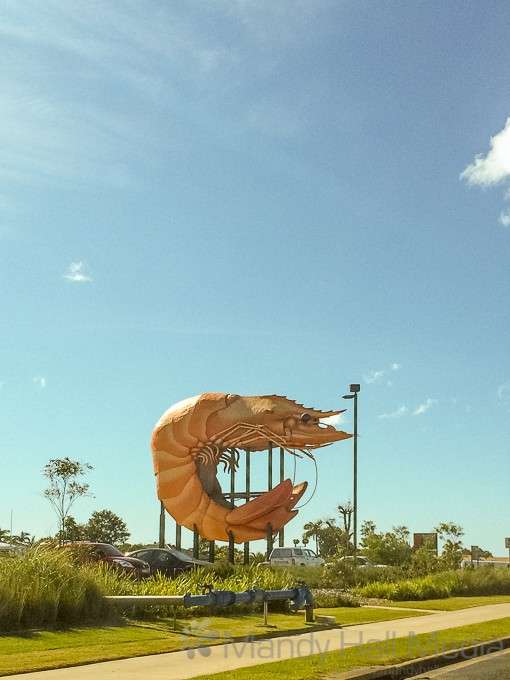 The big prawn. Much larger than the big banana. The big prawn. Much larger than the big banana.