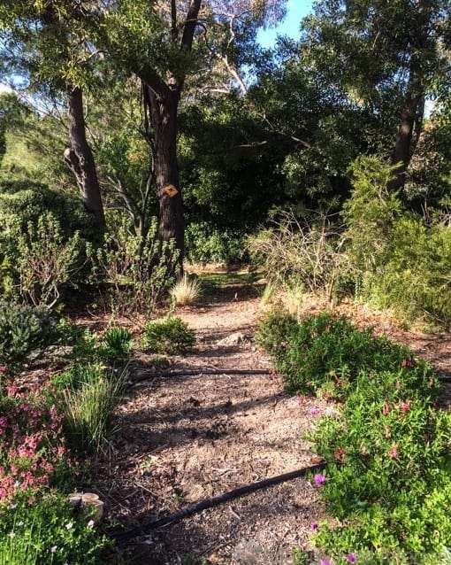 The kangaroo path with the crossing sign so they know where to go